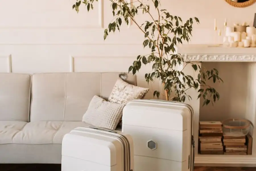 Valises cabine élégantes dans un salon cosy avant le départ