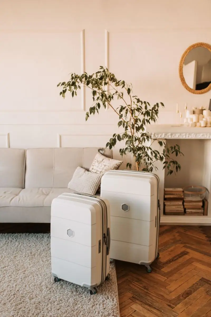 Valises cabine élégantes dans un salon cosy avant le départ