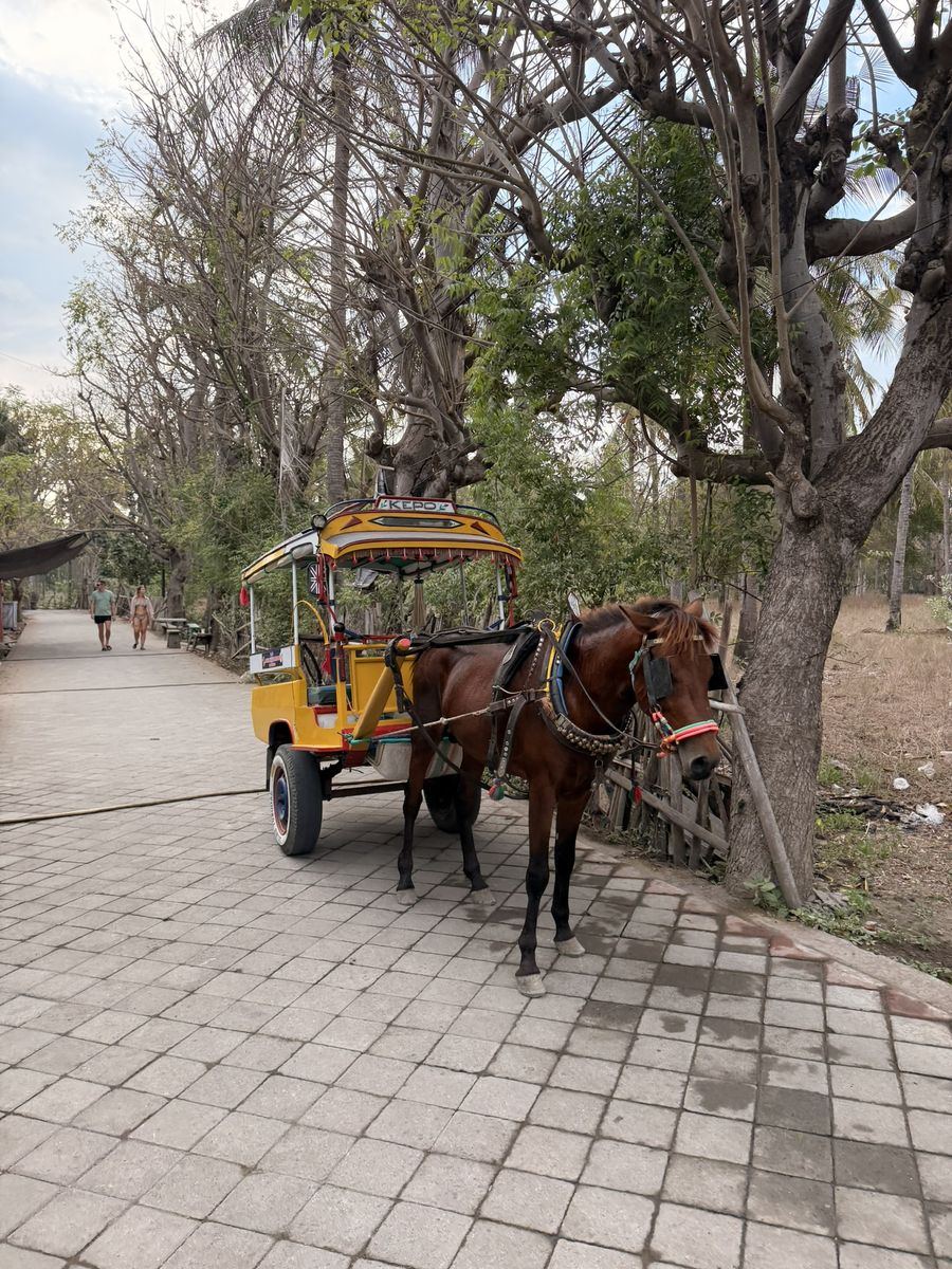 Un cheval brun attelé à une calèche jaune et rouge, à l'arrêt au bord d'un chemin pavé bordé d'arbres, deux touristes marchant au loin