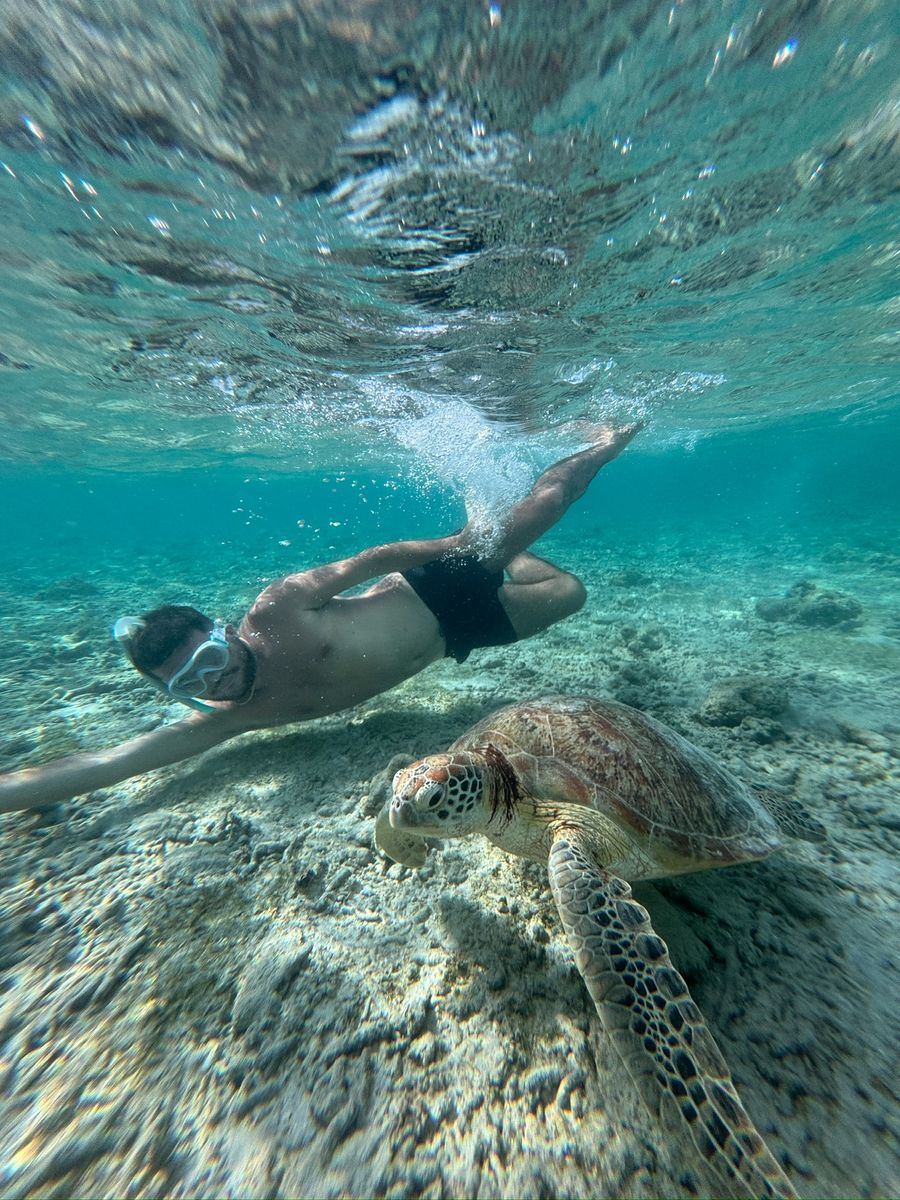 Moi en palmes-masque-tuba nageant juste au-dessus d'une tortue de mer, dans une eau turquoise très claire, le fond sableux et corallien visible