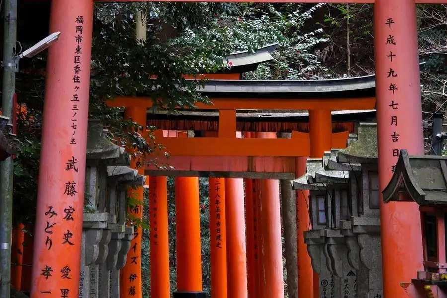Torii vermillon du sanctuaire Fushimi Inari à Kyoto, tôt le matin