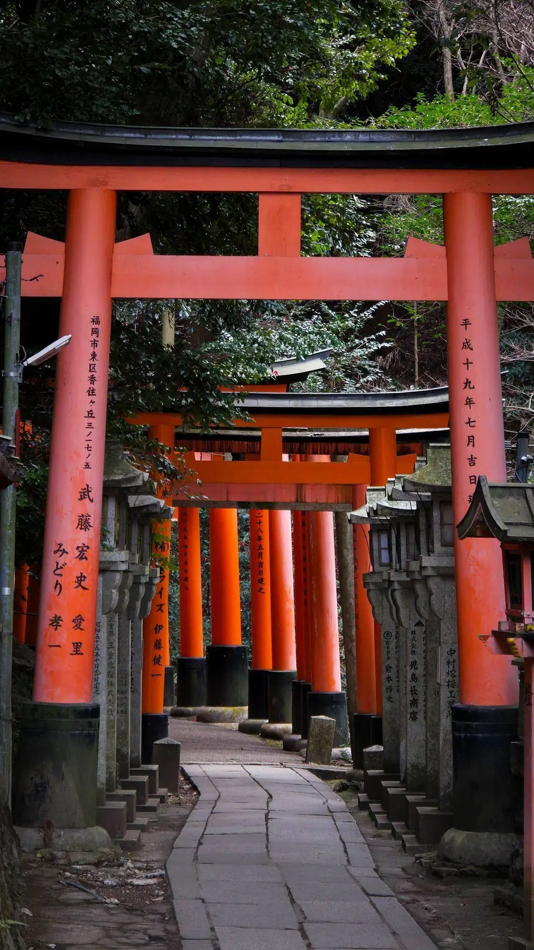 Torii vermillon du sanctuaire Fushimi Inari à Kyoto, tôt le matin